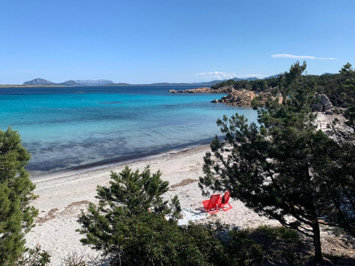 Appartamento Porto Rotondo Rudargia 外观 照片